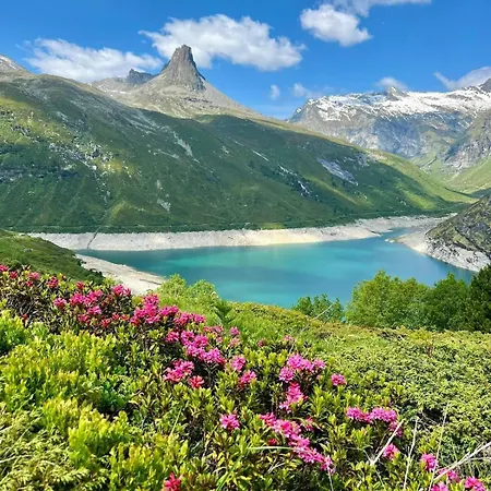 Alpesi faház In *